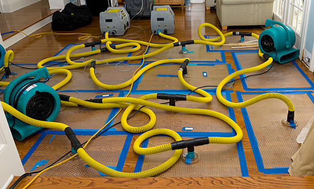 Professional Basement Flood Cleanup technician working in Huntsville, TN